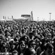 tdwp_01.jpg