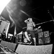 tdwp_03.jpg