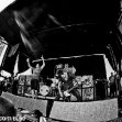 tdwp_04.jpg