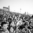 tdwp_10.jpg