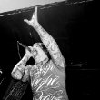 tdwp_13.jpg