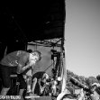 tdwp_18.jpg