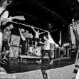 tdwp_31.jpg