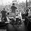 tdwp_35.jpg